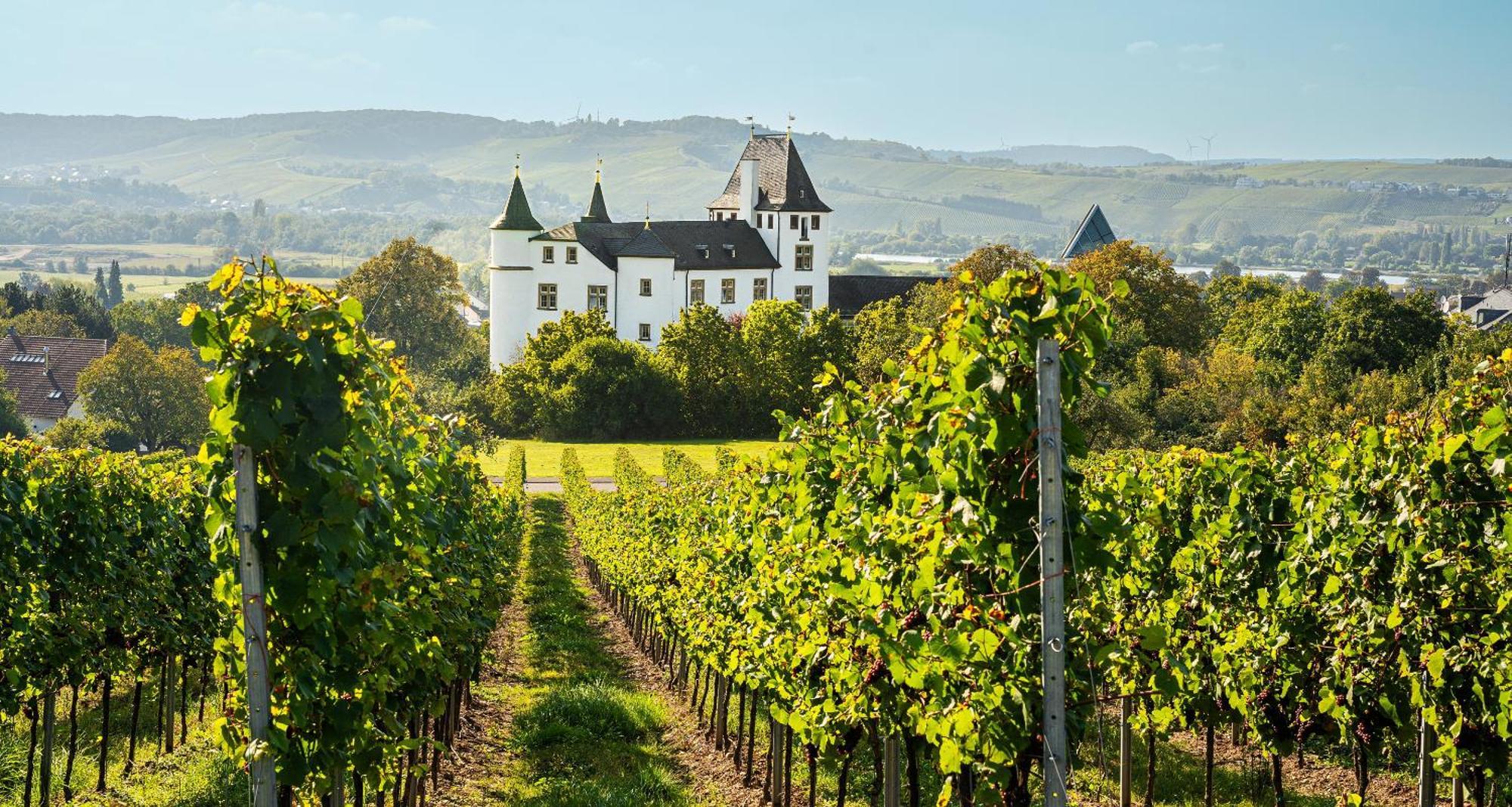 Victor'S Residenz-Hotel Schloss Berg Nennig Exterior photo Schloss Vollrads